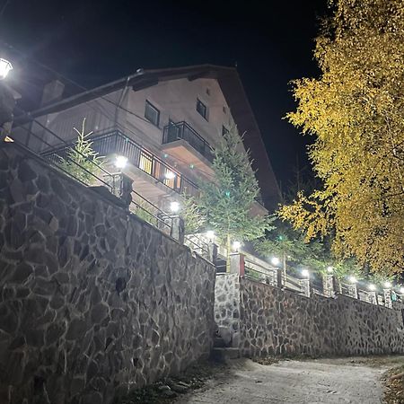 Pensiunea Joe Păltiniş Exteriör bild