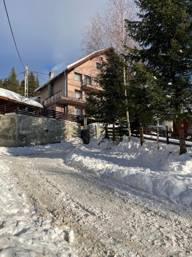Pensiunea Joe Păltiniş Exteriör bild