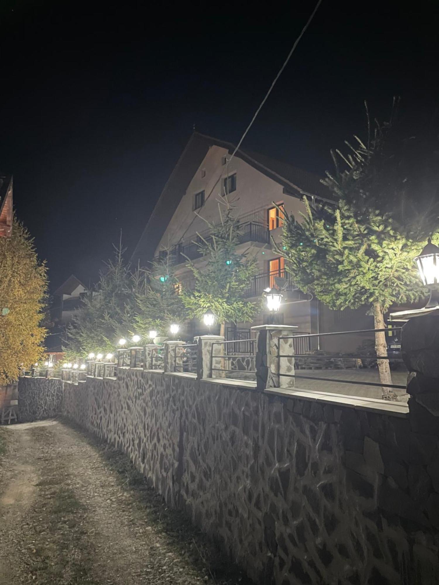 Pensiunea Joe Păltiniş Exteriör bild