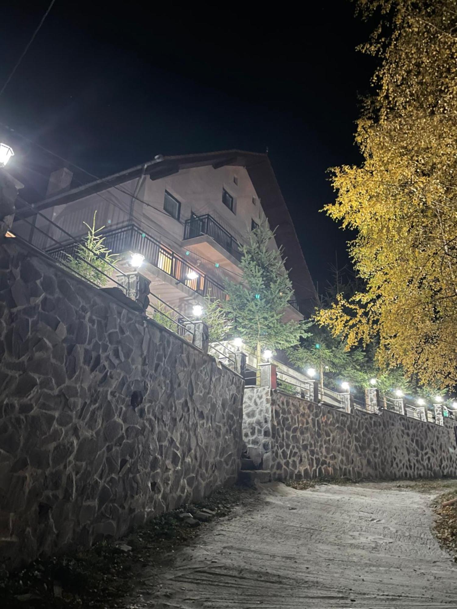 Pensiunea Joe Păltiniş Exteriör bild